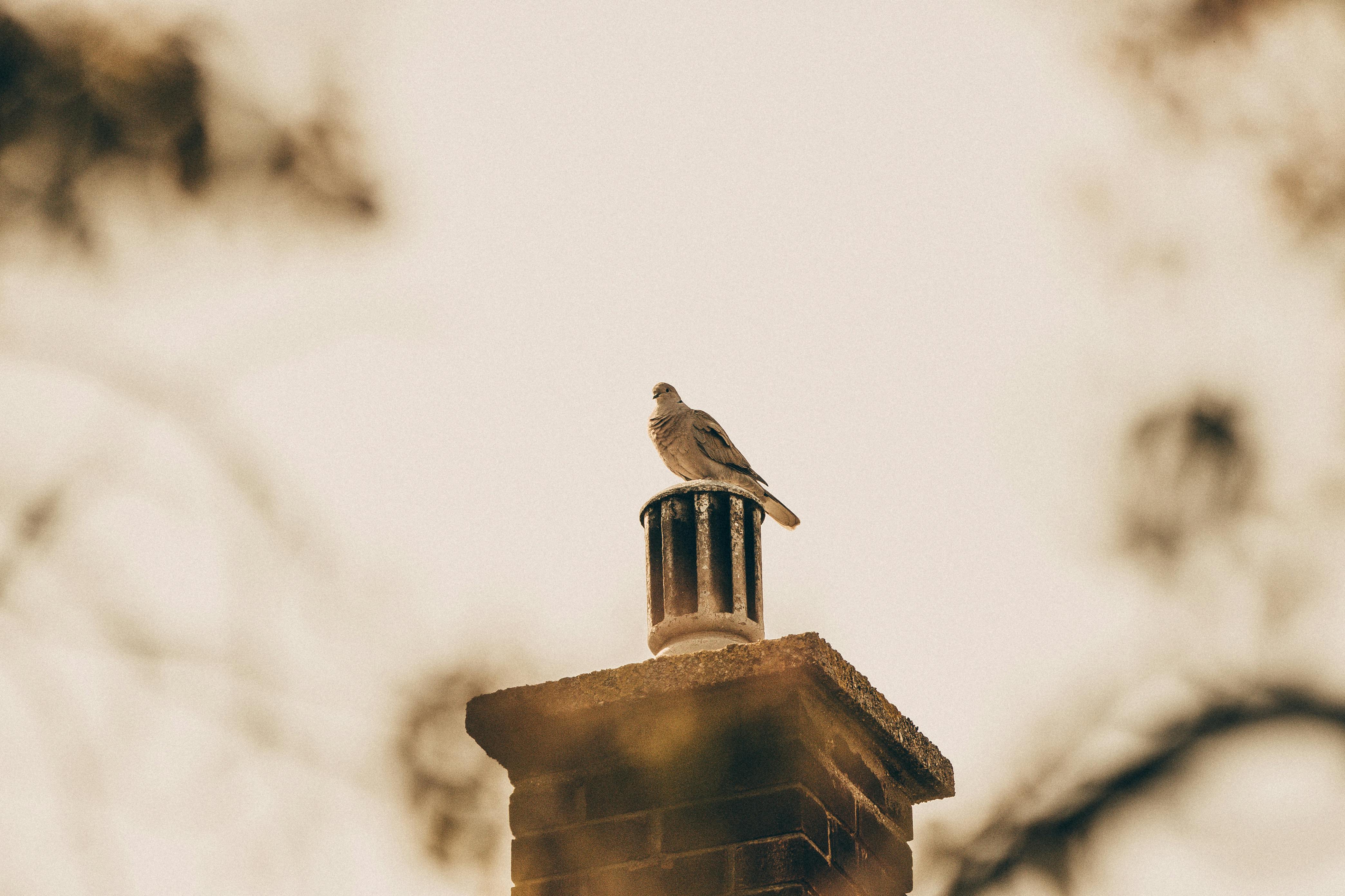 Expert Chimney Cap Installation in Alhambra, California